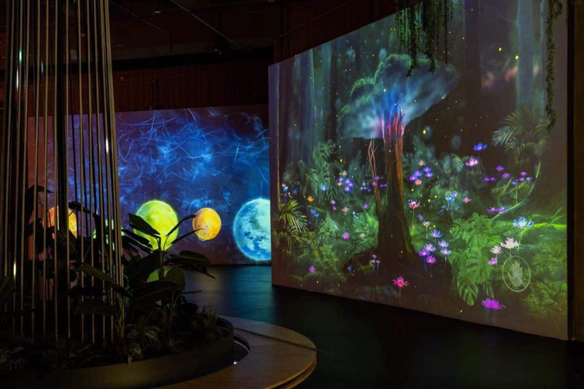 ¡Lánzate al nuevo Museo Yancuic! Un cruce de ciencia, tecnología y arte