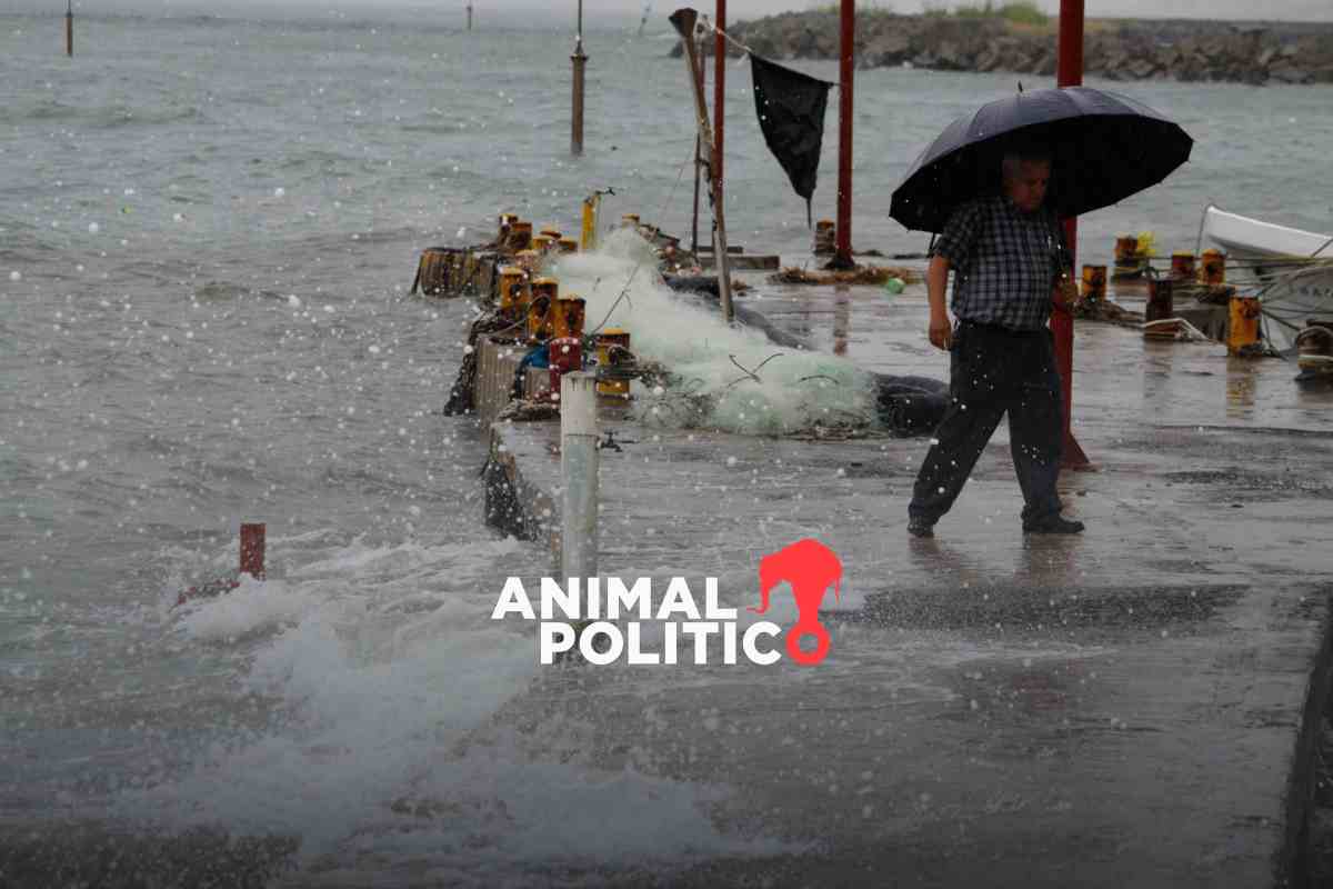 Temporada de huracanes 2024: Conagua estima hasta 41 ciclones en el Pacífico y Atlántico