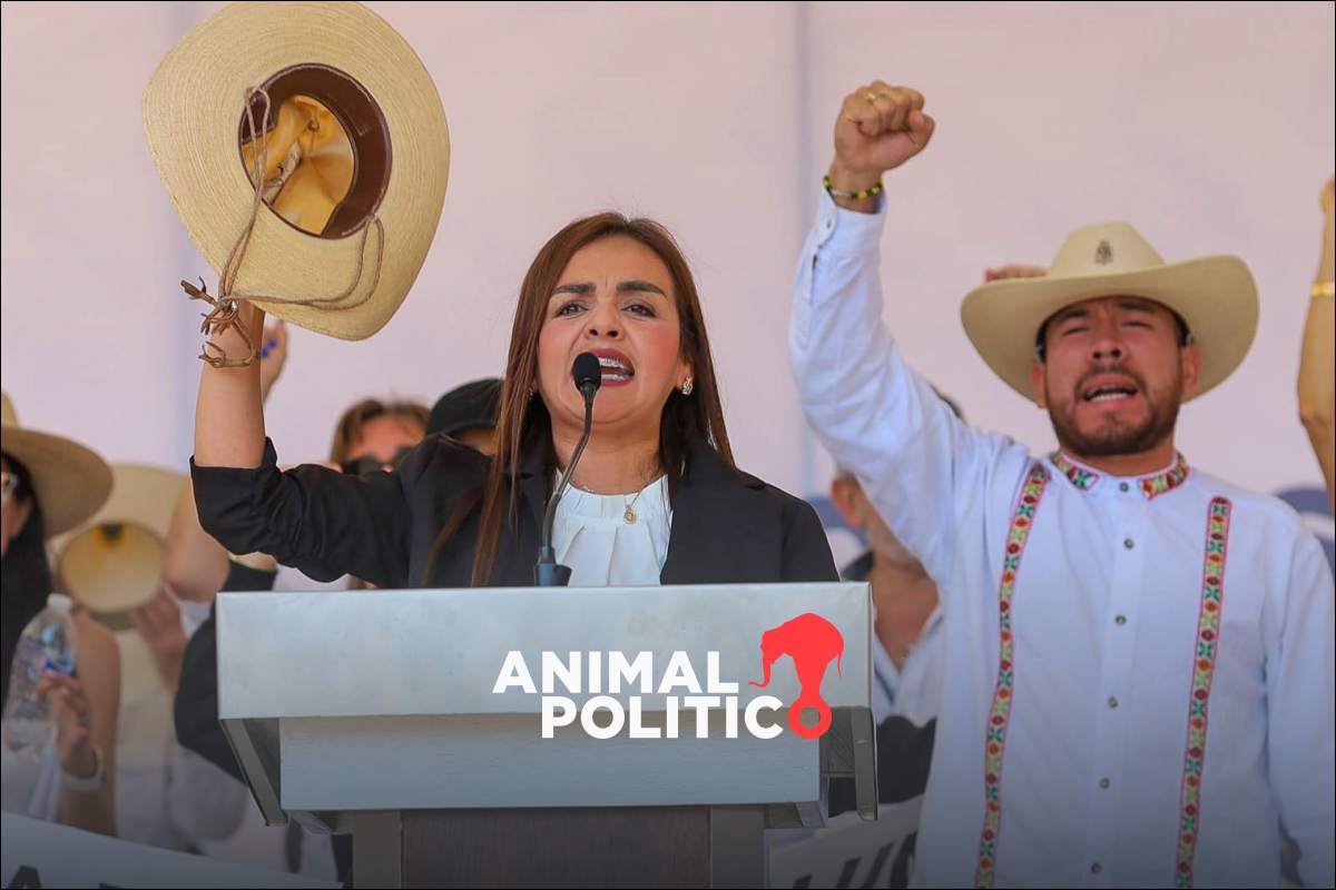 IMPI dará a Grecia Quiroz los registros de Carlos Manzo y Movimiento del Sombrero: Santiago Nieto