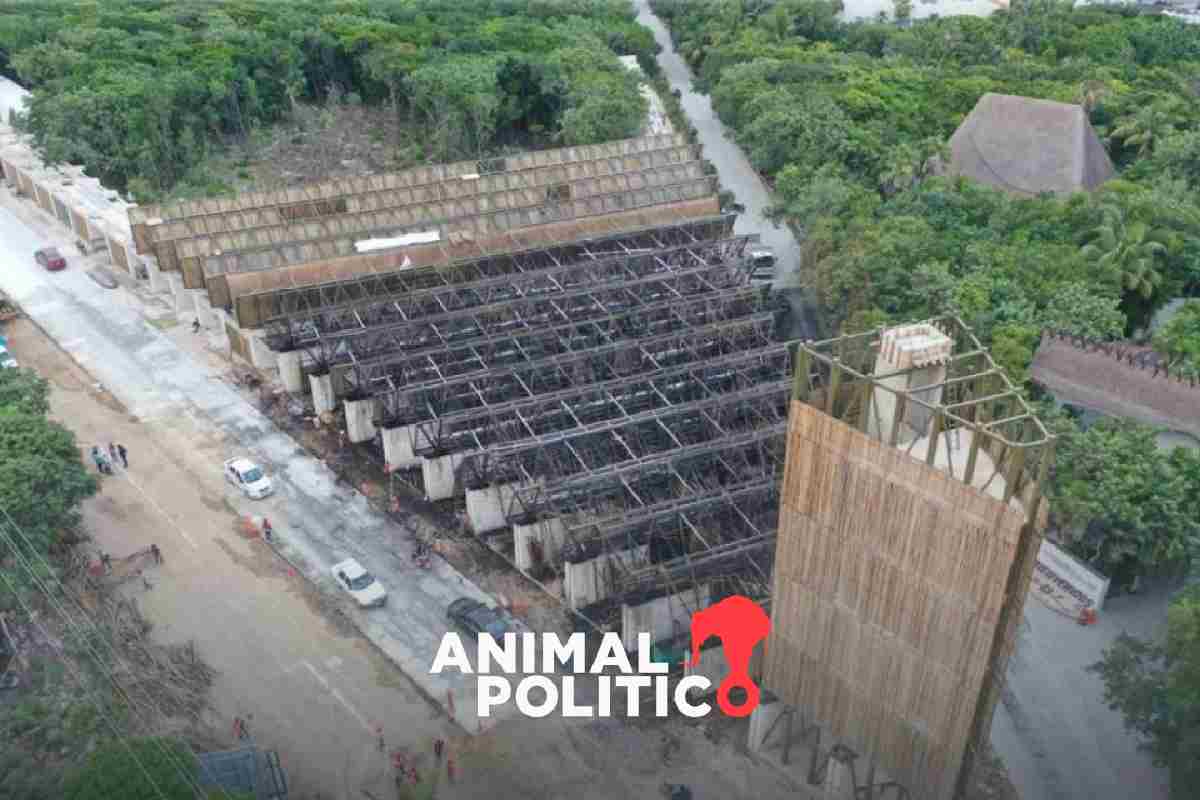 Se incendia parte del Parque del Jaguar, en Tulum, Quintana Roo