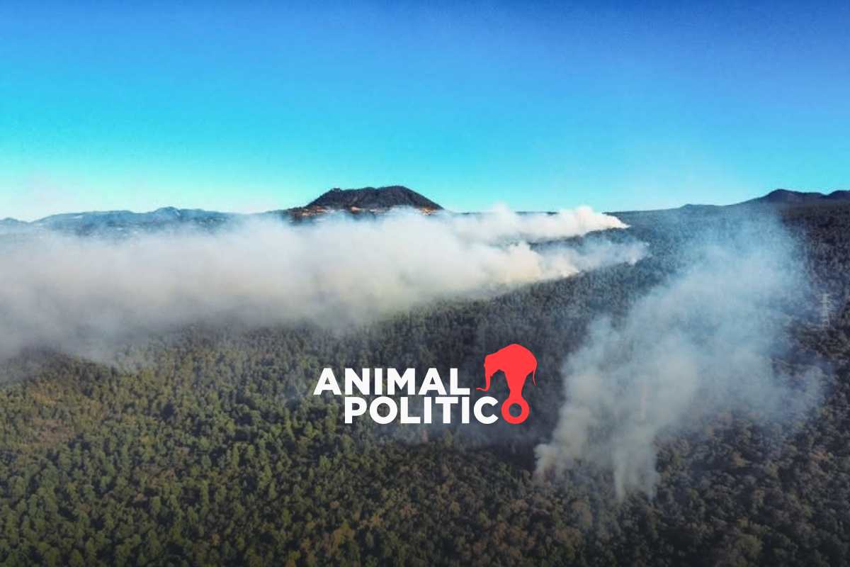 Incendio en Tepoztlán cumple cuatro días activo; suman 600 hectáreas afectadas