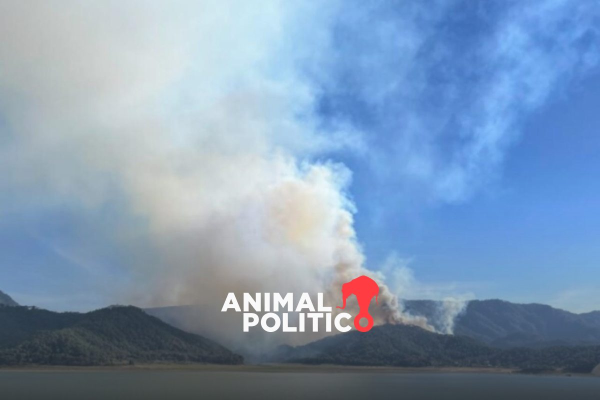 Hay 120 incendios forestales activos en el país; Edomex suma 4 muertos y 18 siniestros
