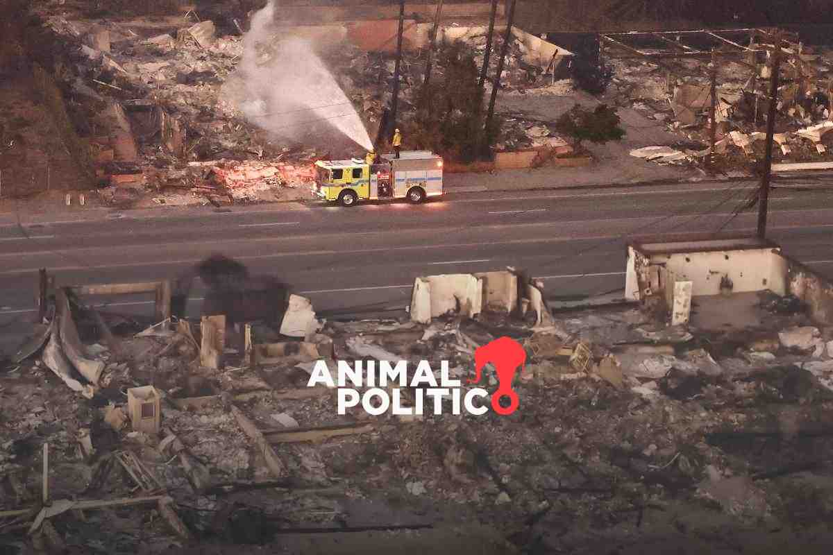 Incendios en Los Ángeles dejan 10 personas muertas; condiciones climáticas amenazan con empeorar