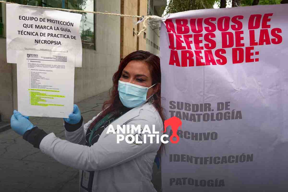 Hostigamiento y acoso sexual en Incifo, las nuevas denuncias de médicos forenses y peritos de CDMX