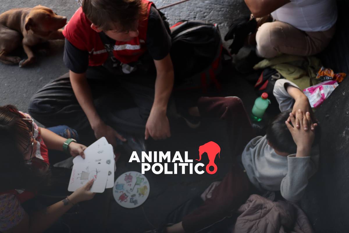 Entre desalojos violentos y separaciones forzadas: niños en situación de calle huyen de autoridades 