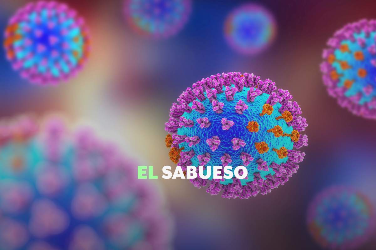 La influenza H3N2 subclado K no representa riesgo de pandemia: especialistas; estos son los síntomas