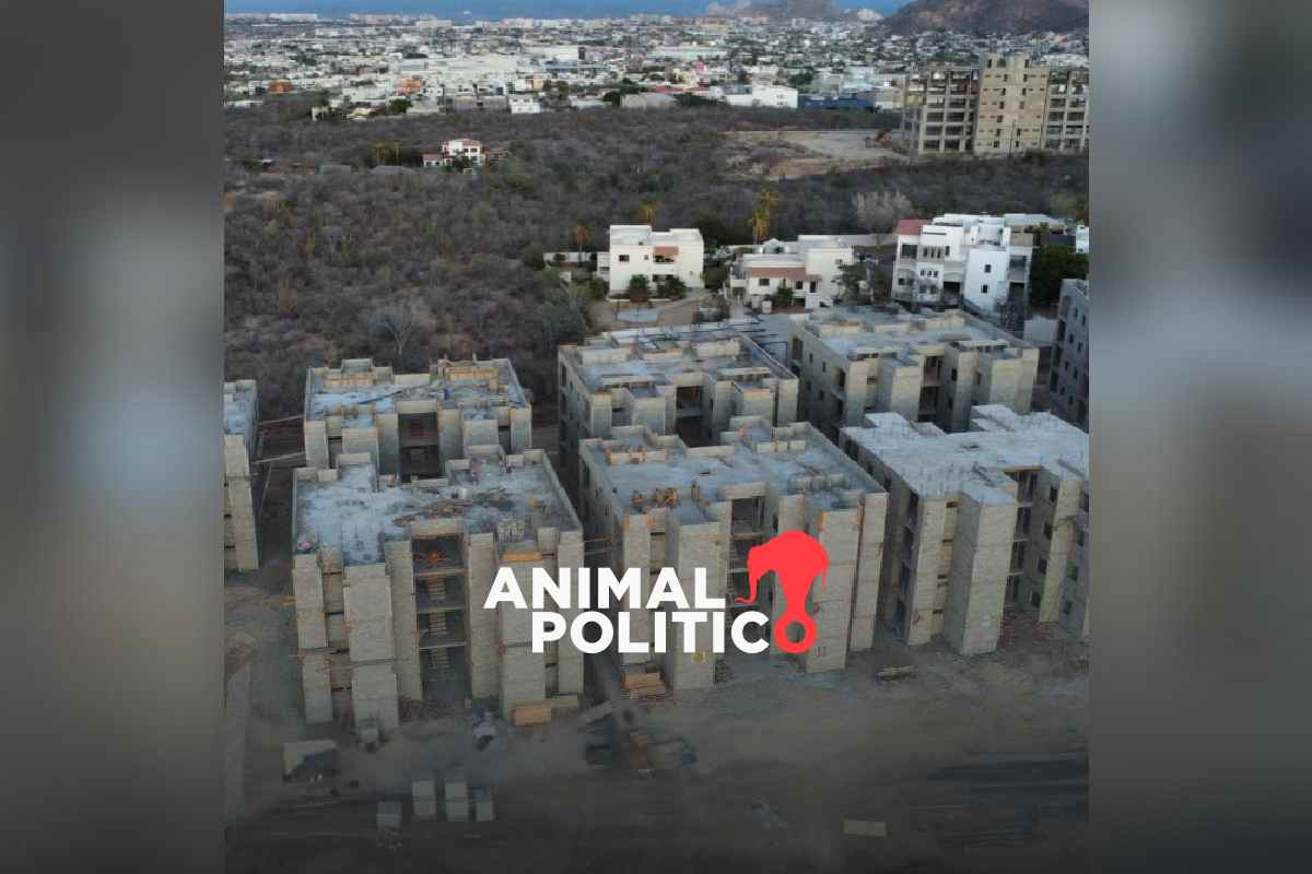 Menos puntos y menos requisitos; así es el nuevo modelo para obtener un crédito del Infonavit 