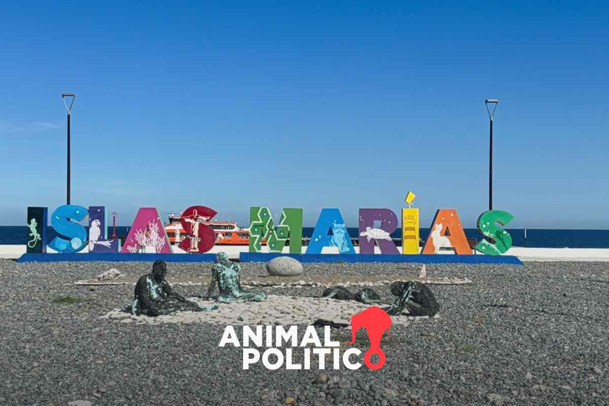 Islas Marías recibe 80 turistas por semana; el costo de la visita se duplicó en sólo tres años