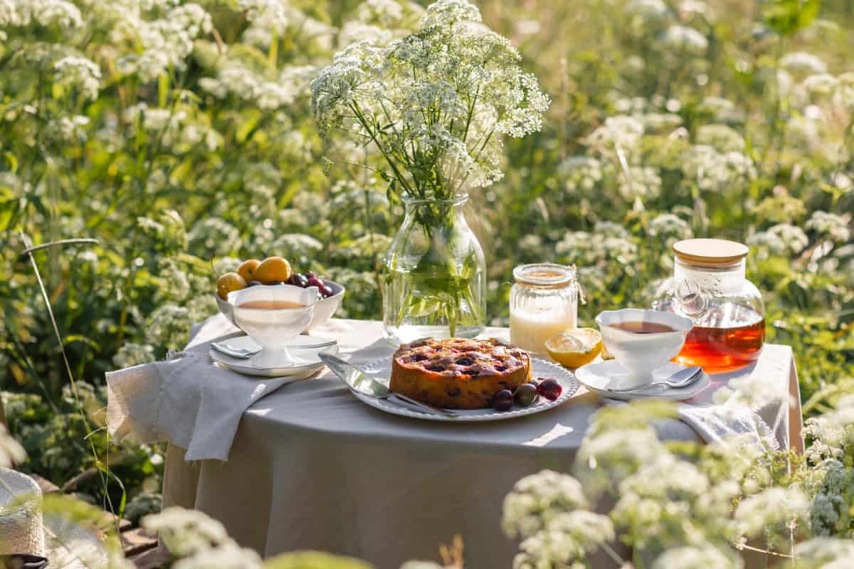 Mesa de jardín con alimentos.