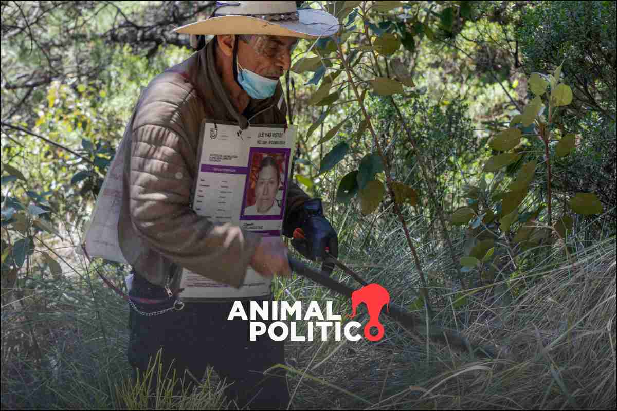 Autoridades y activistas buscan restos en el Ajusco; estiman que hay más de 100 cuerpos