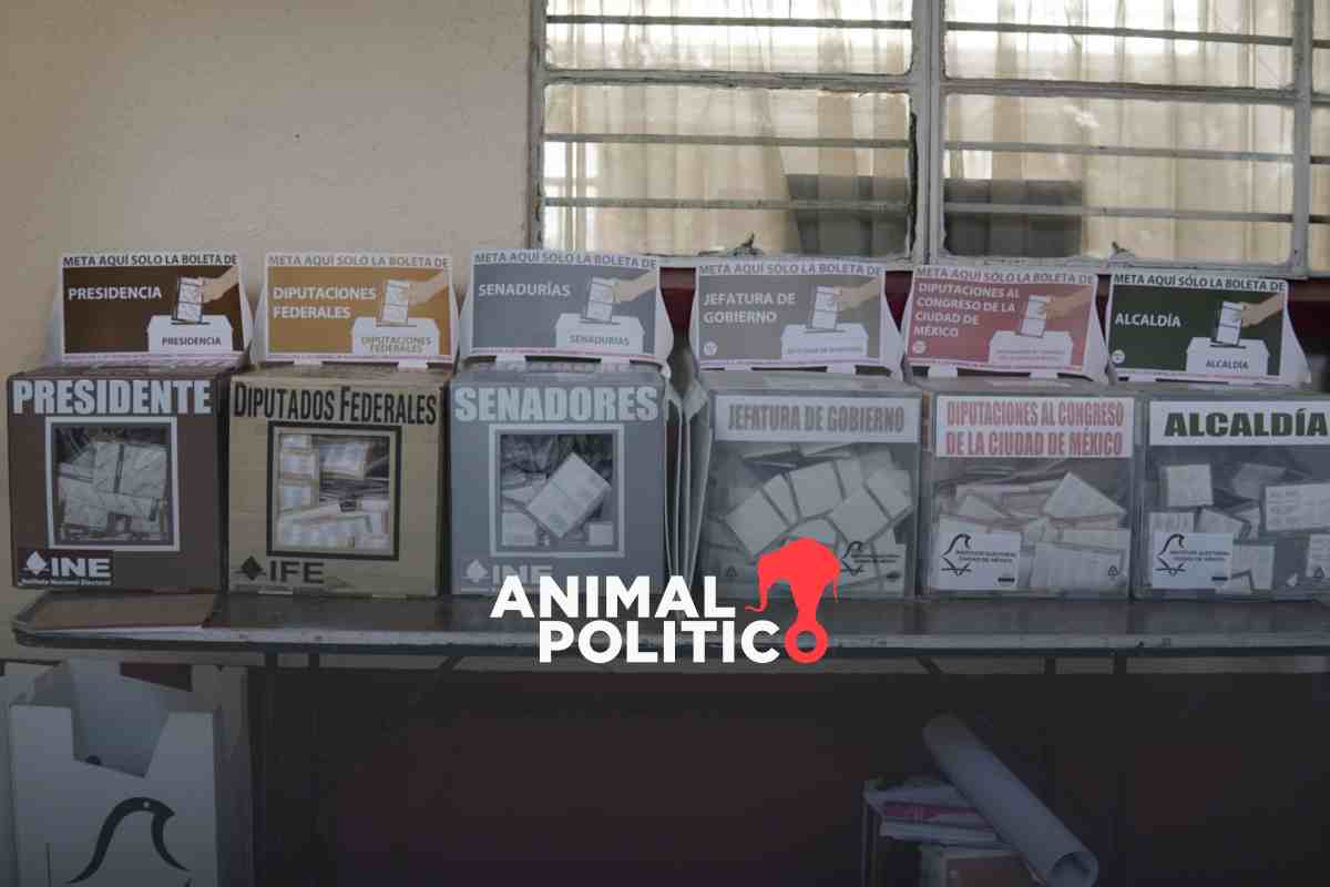 Con 61.53 % de participación, jóvenes de 18 años, entre grupos que más votaron en elección de 2024