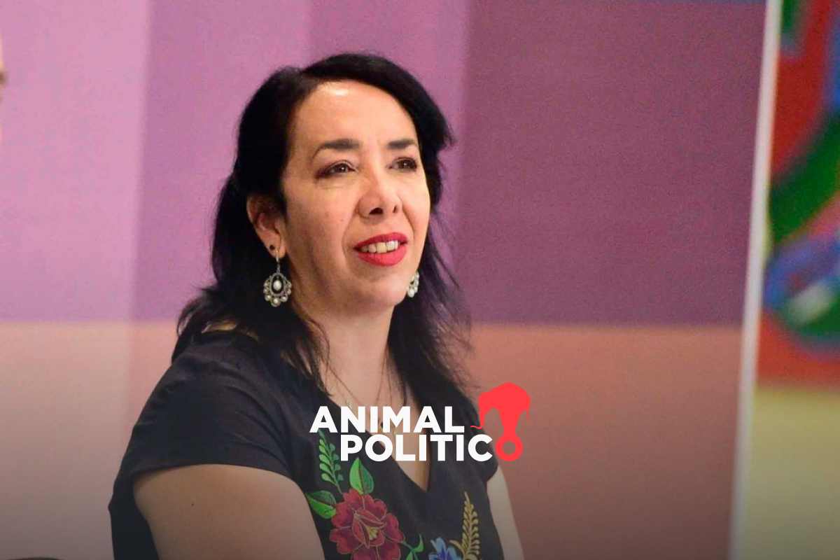 Piden juicio político contra la diputada de Morena Hilda Brown, a quien EU vincula con “Los Mayos”