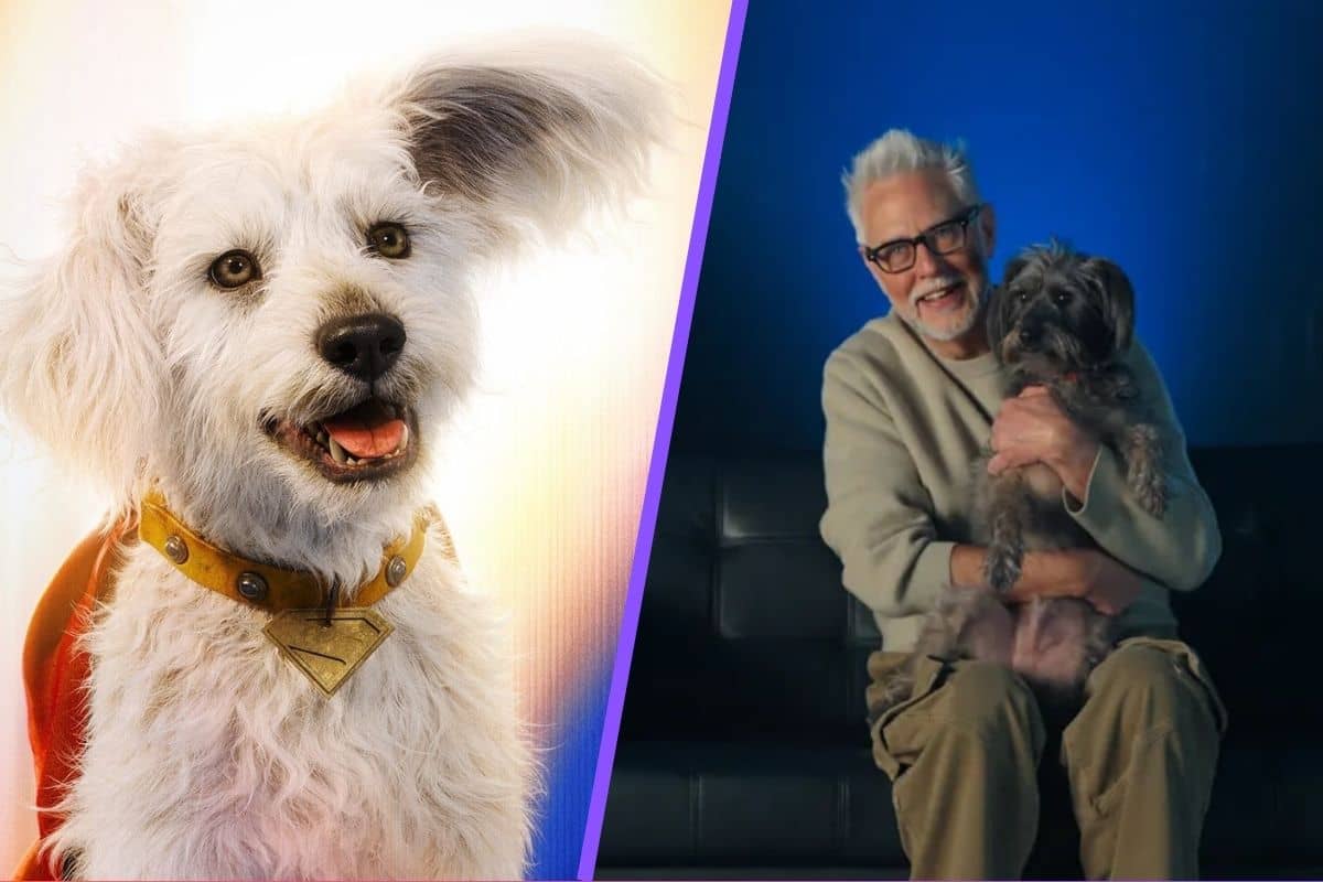 La emotiva historia de Krypto en "Superman" : James Gunn hace homenaje a su perro rescatado