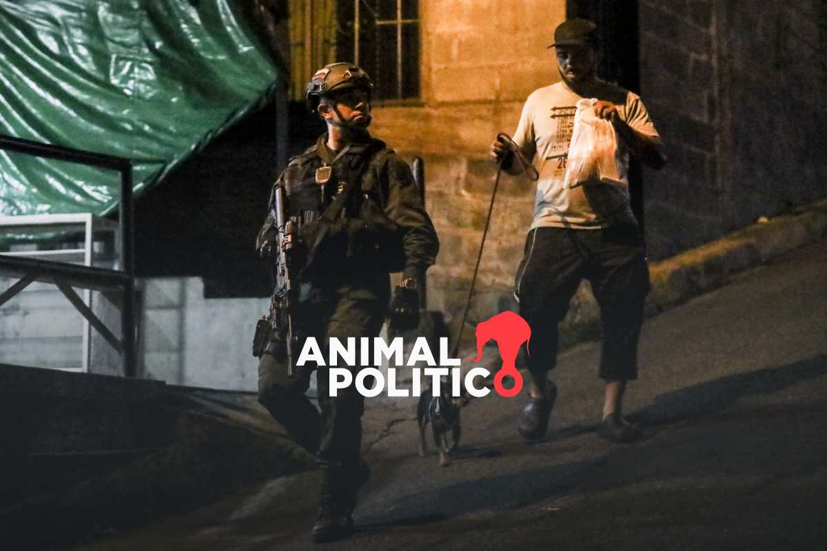 La Venezuela post-Maduro empuja a guerrilleros hacia Colombia, dice ministro colombiano