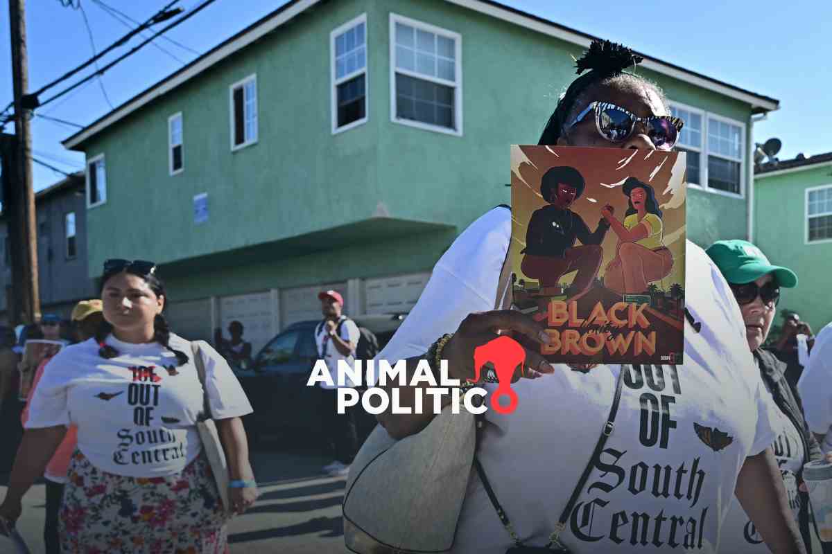 Latinos temen ser víctimas de discriminación racial por redadas migratorias en EU