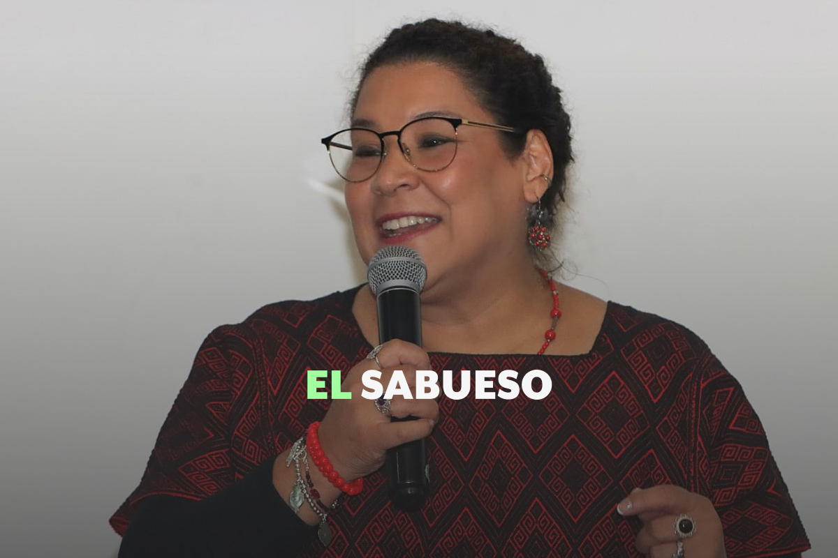 Lenia Batres y Salinas Pliego: ¿en qué consiste el amparo que resolverá la ministra?