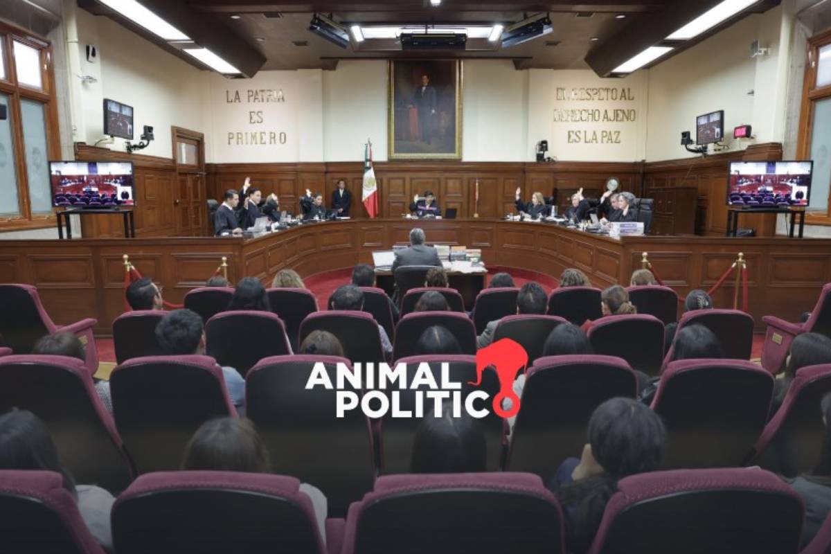 Artículo 19 señala riesgos con Ley de Comunicación Social; pide a Corte analizar puntos preocupantes