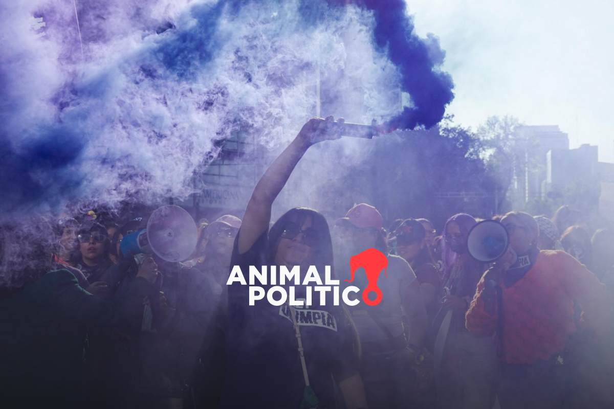 Las luchas que se hicieron ley y avanzaron en 2024 para buscar justicia y proteger derechos 