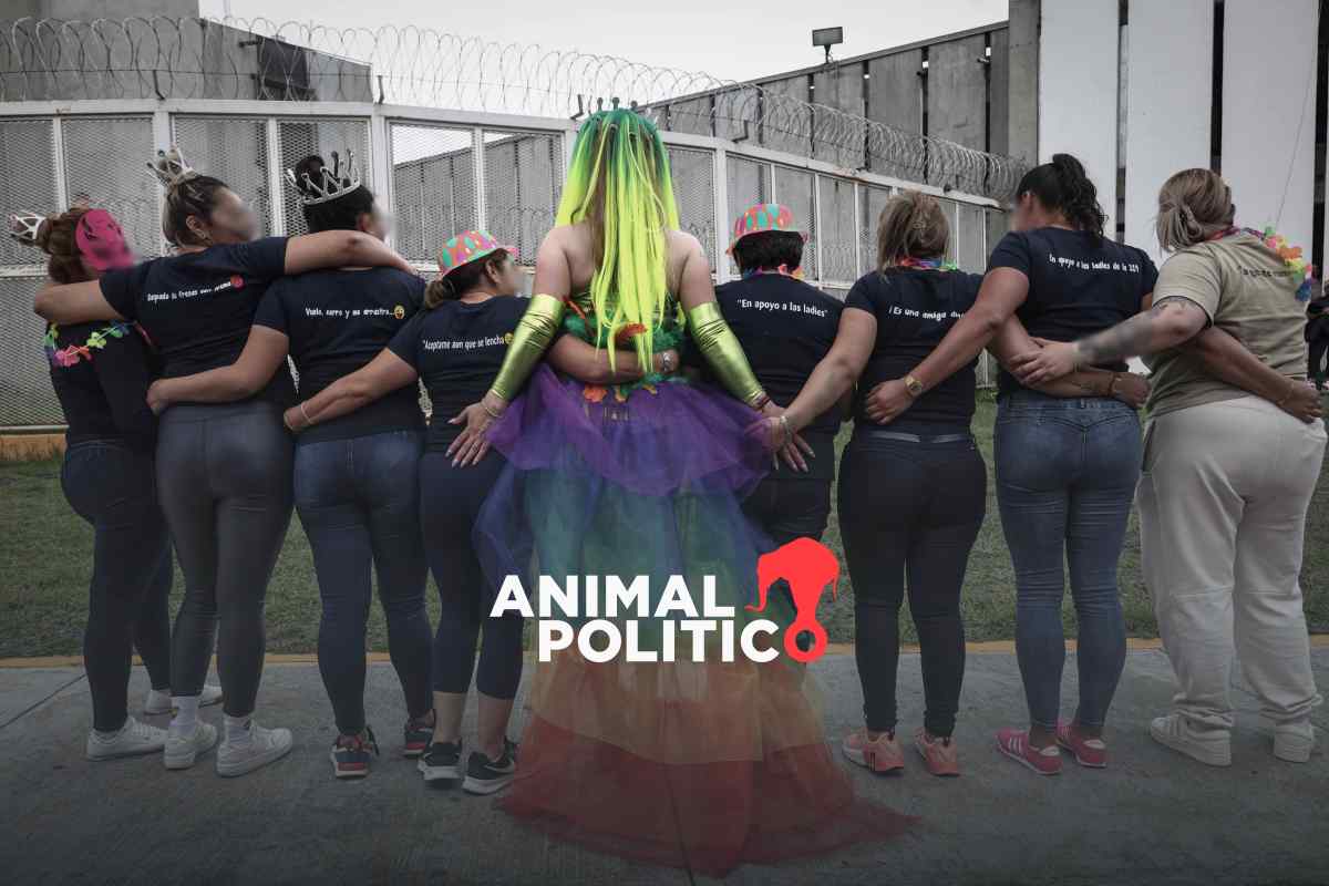 “Amor es amor”: internas de Santa Martha reivindican el Orgullo LGBTIQ+ pese al encierro