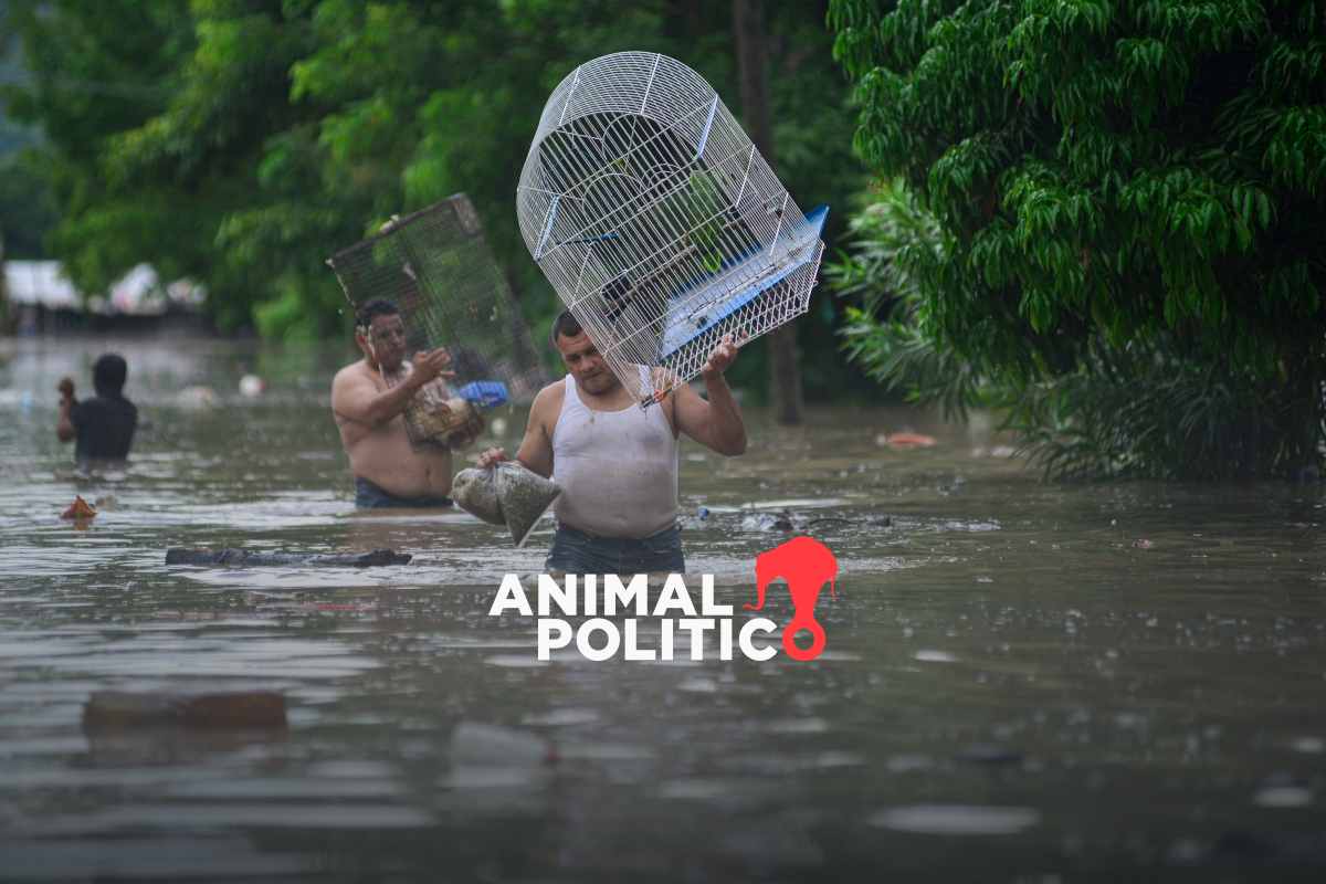 Lluvias en Veracruz: aumenta a cinco fallecidos y más de 16 mil casas dañadas