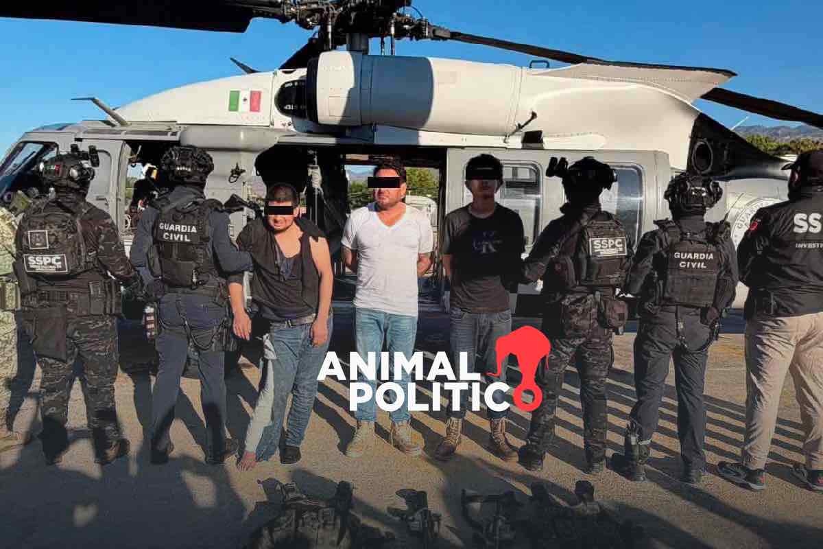 De autodefensas a franquicia criminal: quiénes son Los Blancos de Troya que extorsionan limoneros