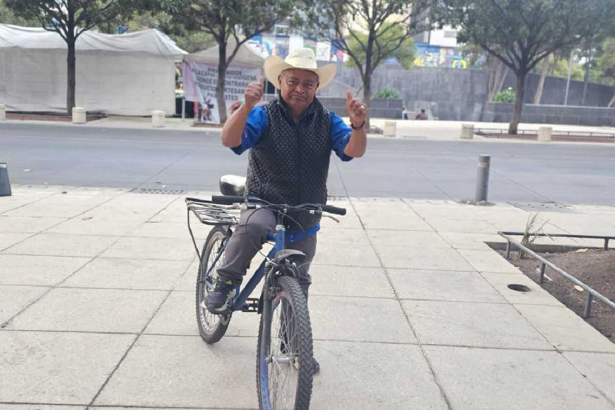 luis-morales-suplente-sergio-mayer-animal-politico-3