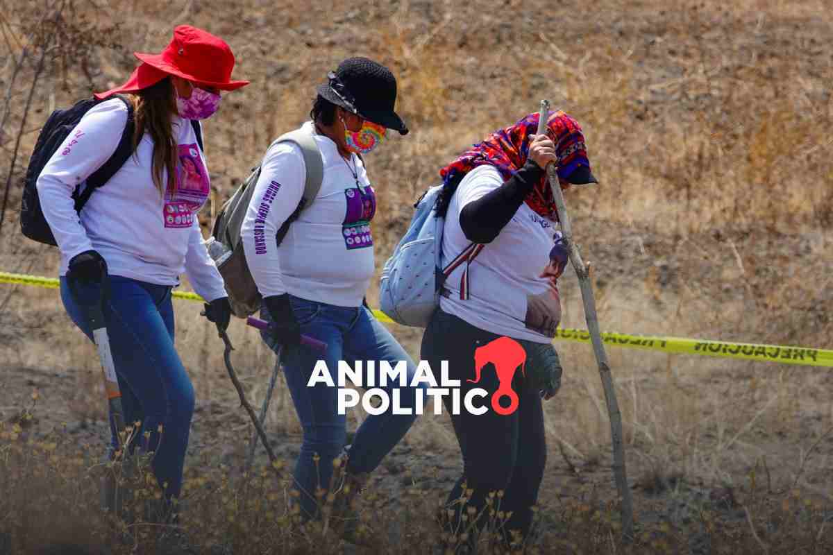 Colectivos reprueban maltrato a buscadoras de CDMX; Ceci Flores recurre a Comisión Interamericana