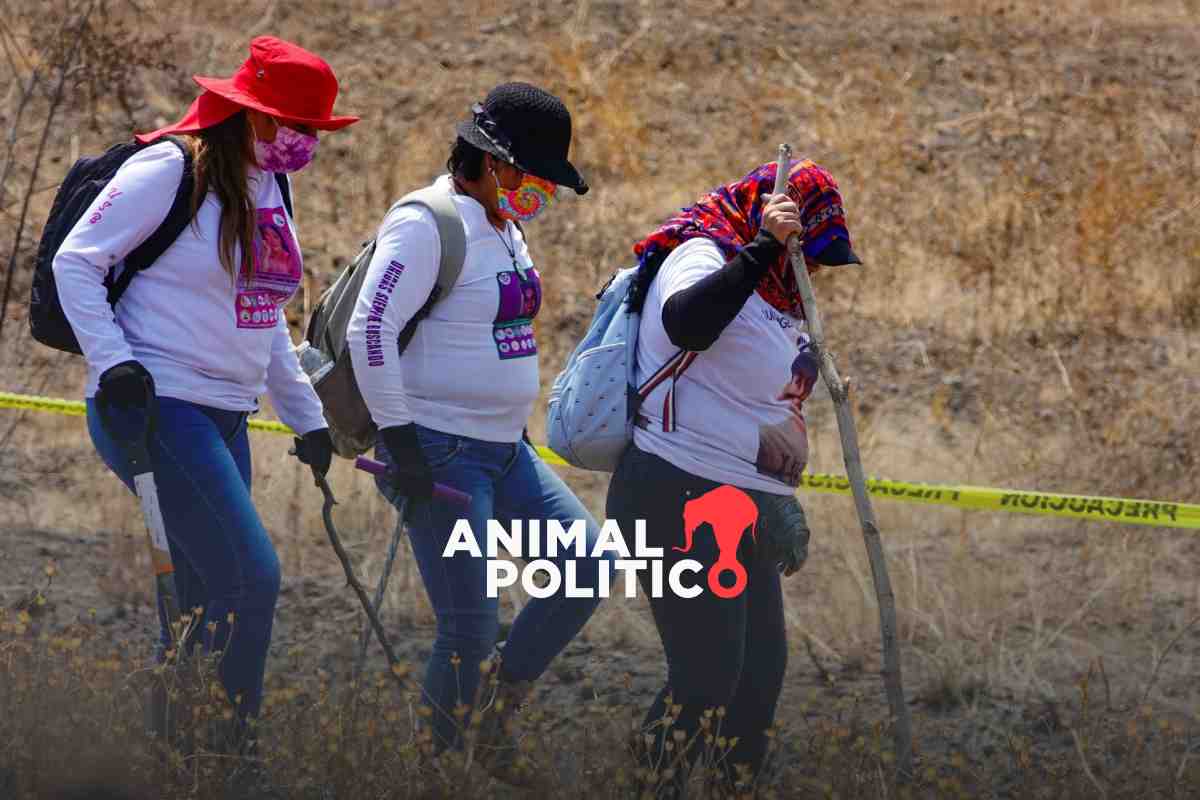 "Somos amenazadas": madres buscadoras enfrentan riesgos, criminalización y discursos revictimizantes
