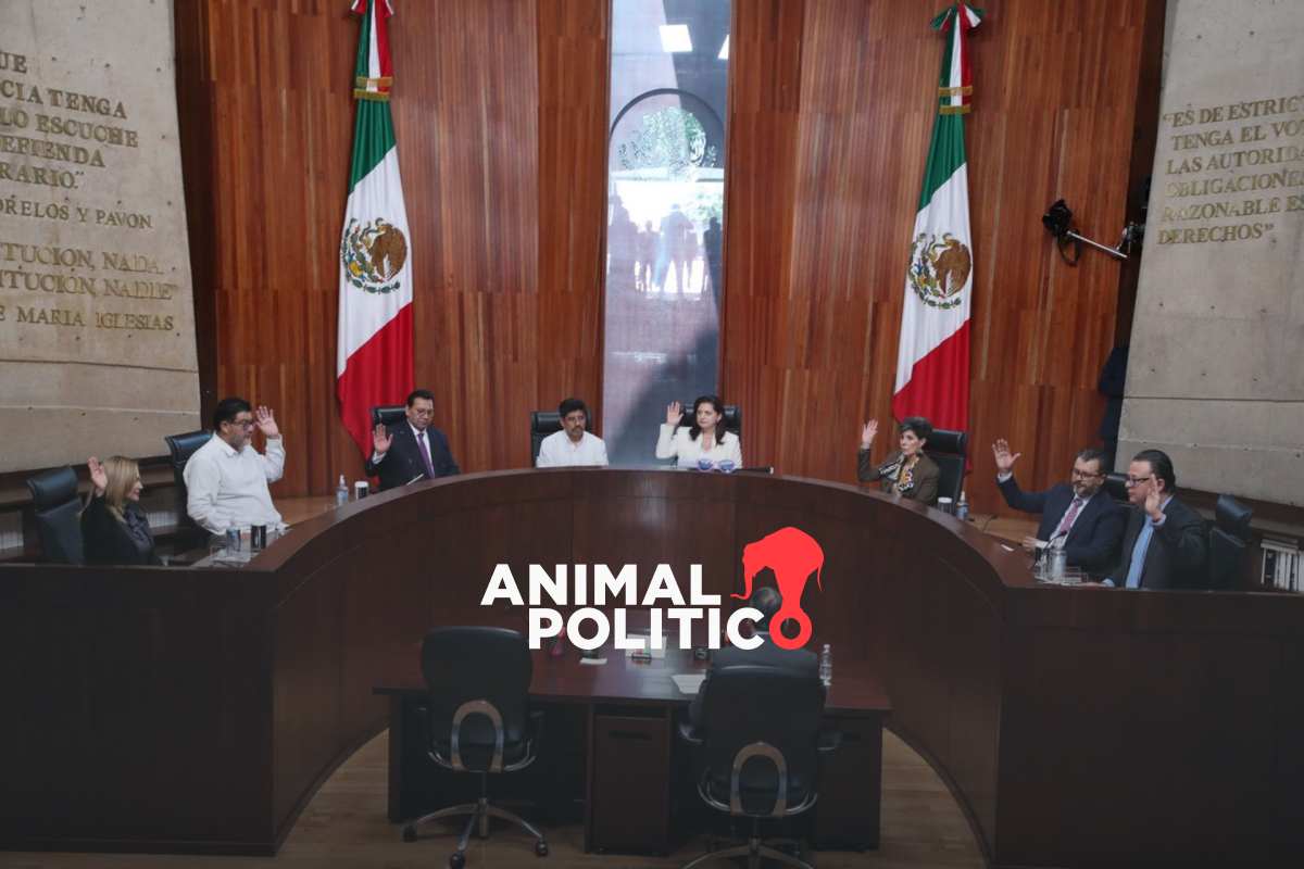 Magistrados del TEPJF dicen que multa impuesta por el INE por operación acordeón es desproporcionada