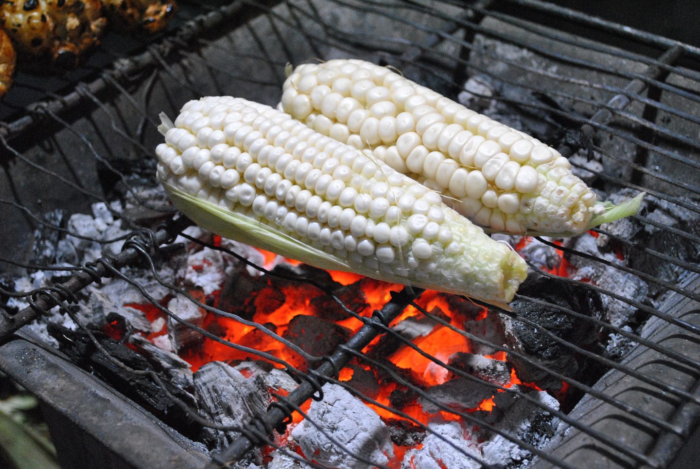 El cacahuazintle importa: preservarlo es mantener viva la cocina prehispánica