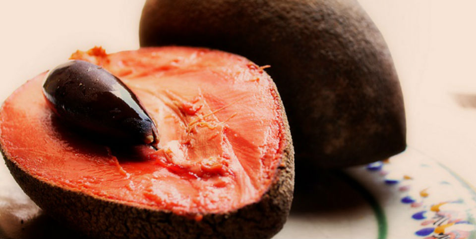 El hueso del mamey se llama pixtle y también se come