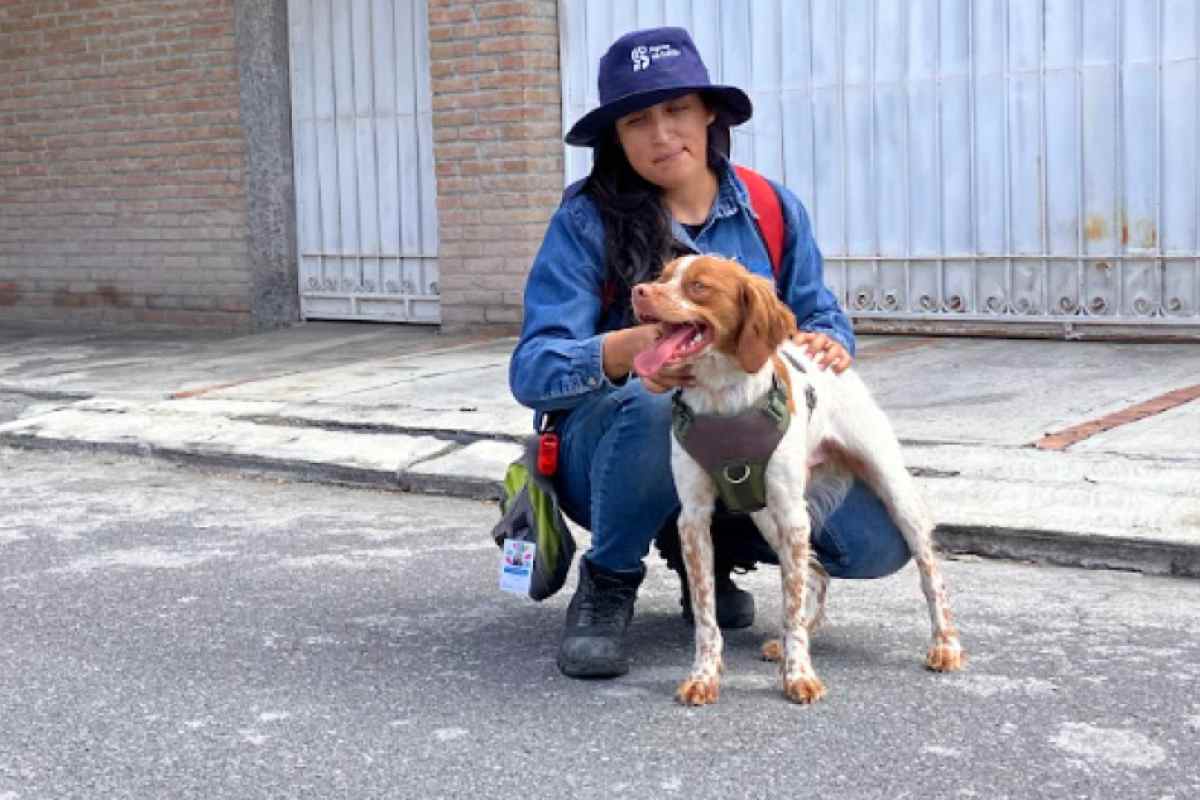Conoce a Manchas, el perro ingeniero que detecta fugas de agua potable en Saltillo