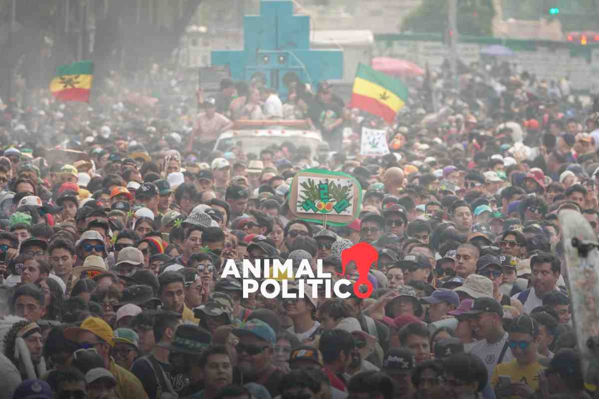 Colectivos en CDMX piden cultivo libre de cannabis en el Día Mundial de la Marihuana