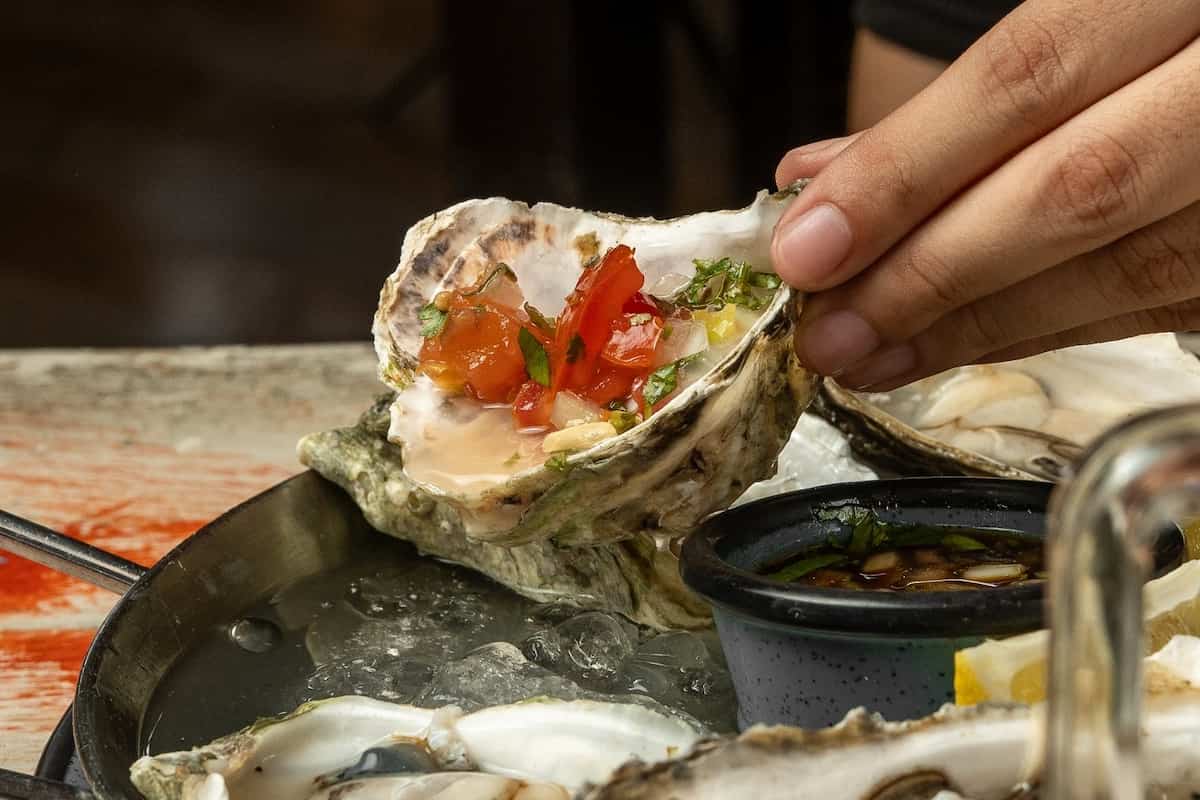 Cancún y su más grande secreto: almejas y ostiones frescos directo del mar