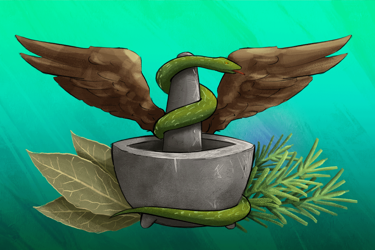 Medicina tradicional mexicana: un legado vivo que se transmite generación tras generación