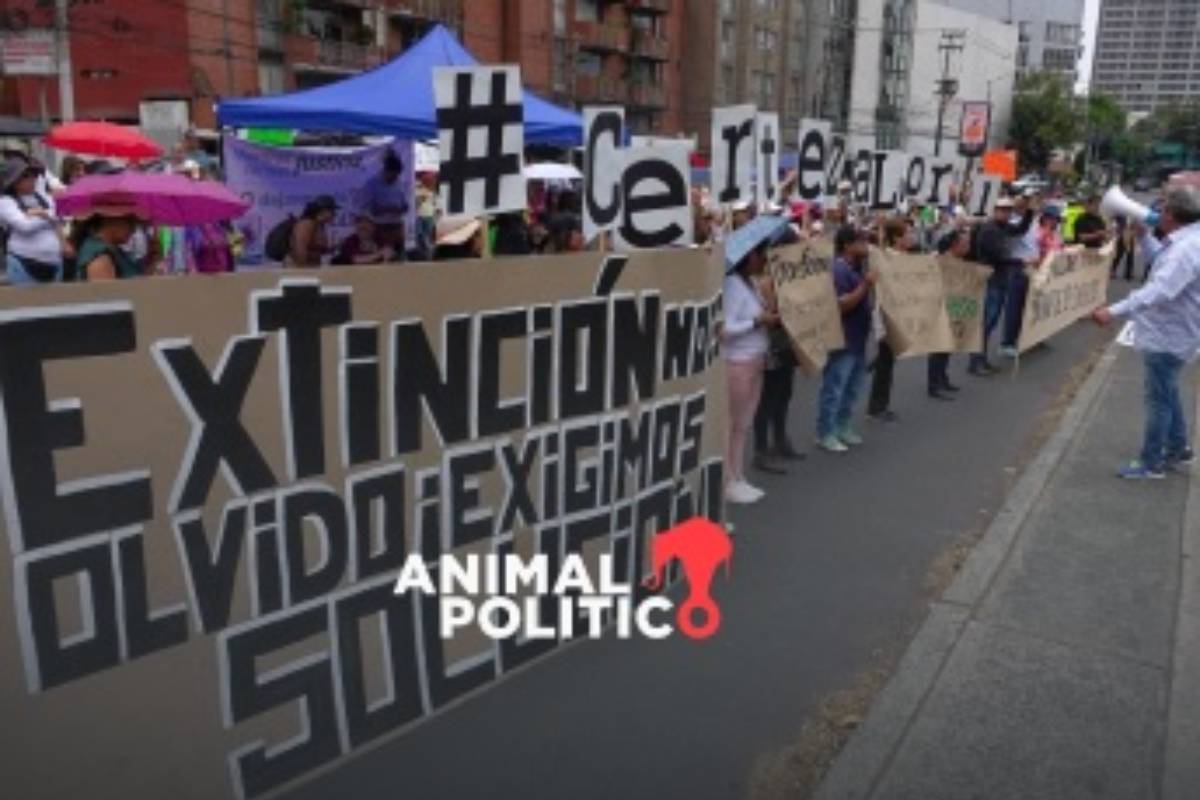 Trabajadores de Mejoredu logran acuerdo sobre liquidación tras meses de incertidumbre