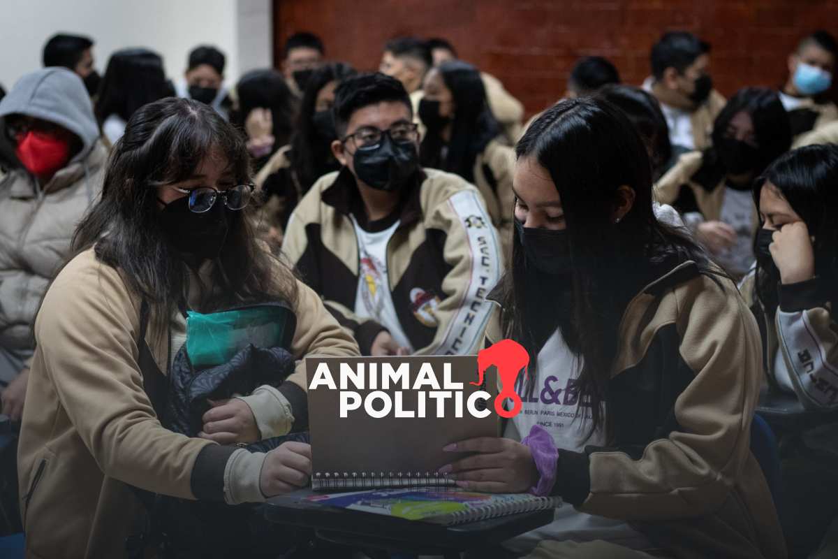 Mejoredu pide a Sheinbaum preservar el empleo de más de 500 trabajadores ante su desaparición 