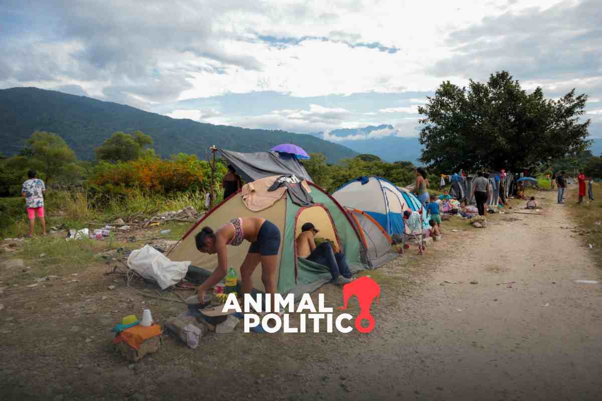 Autoridades abandonan a menores migrantes en “campamentos infrahumanos” en frontera sur