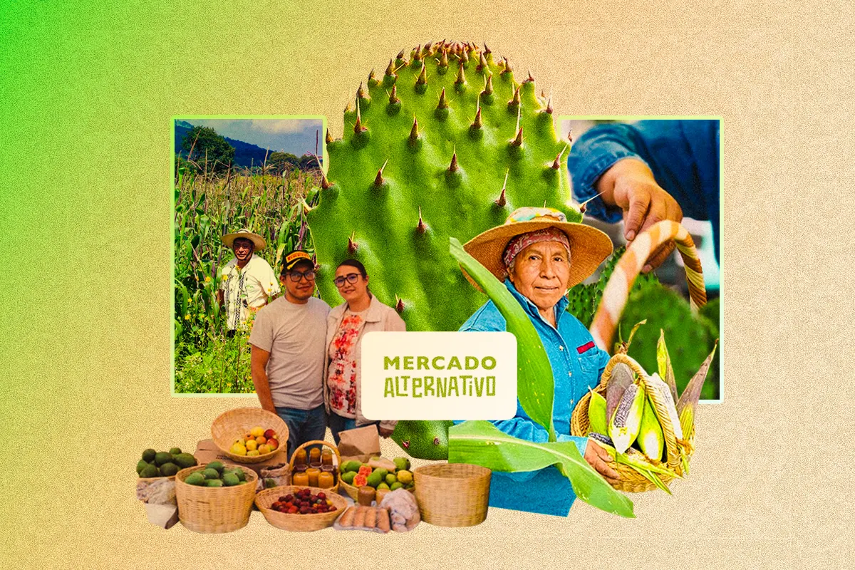 Mercado Alternativo MX: Una comunidad con opciones agroecológicas