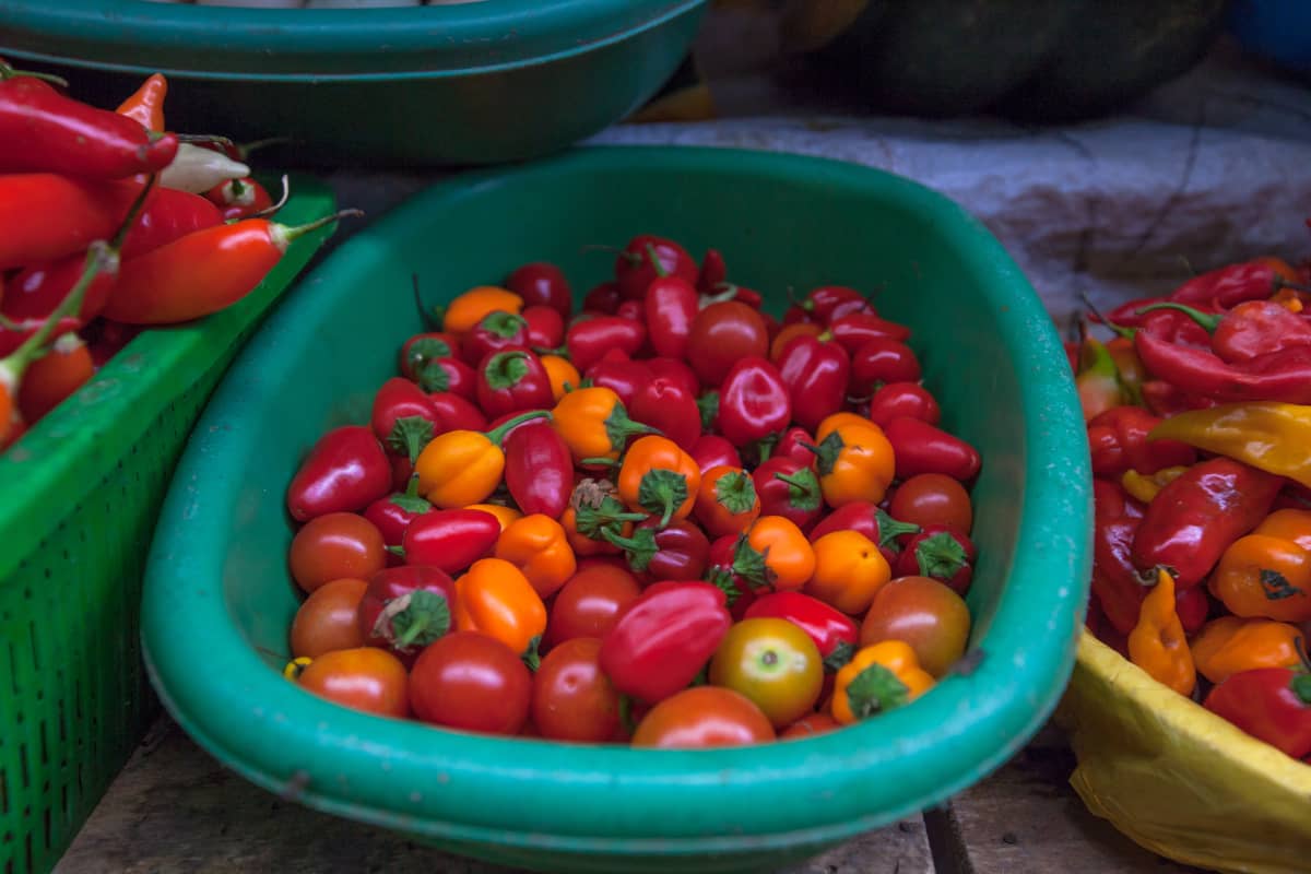 Variedad de rocoto en mercadito.