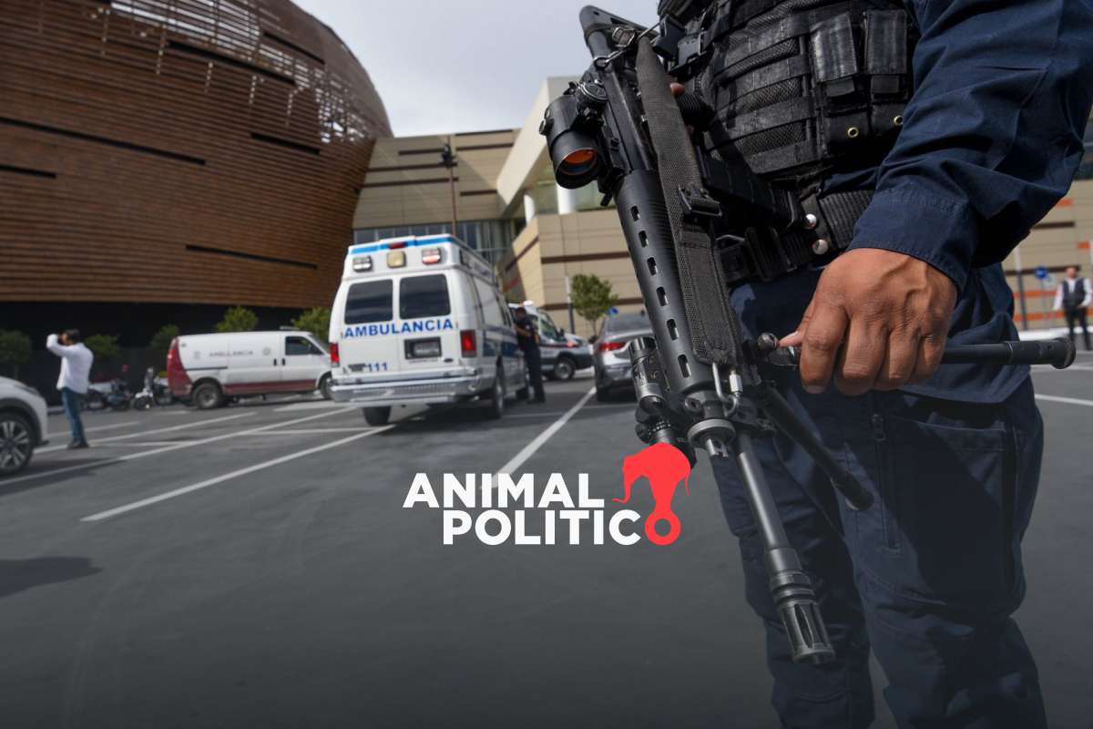 En un año, baja percepción de inseguridad en ciudades: de 61.4 % se redujo a 58 %, señala el Inegi