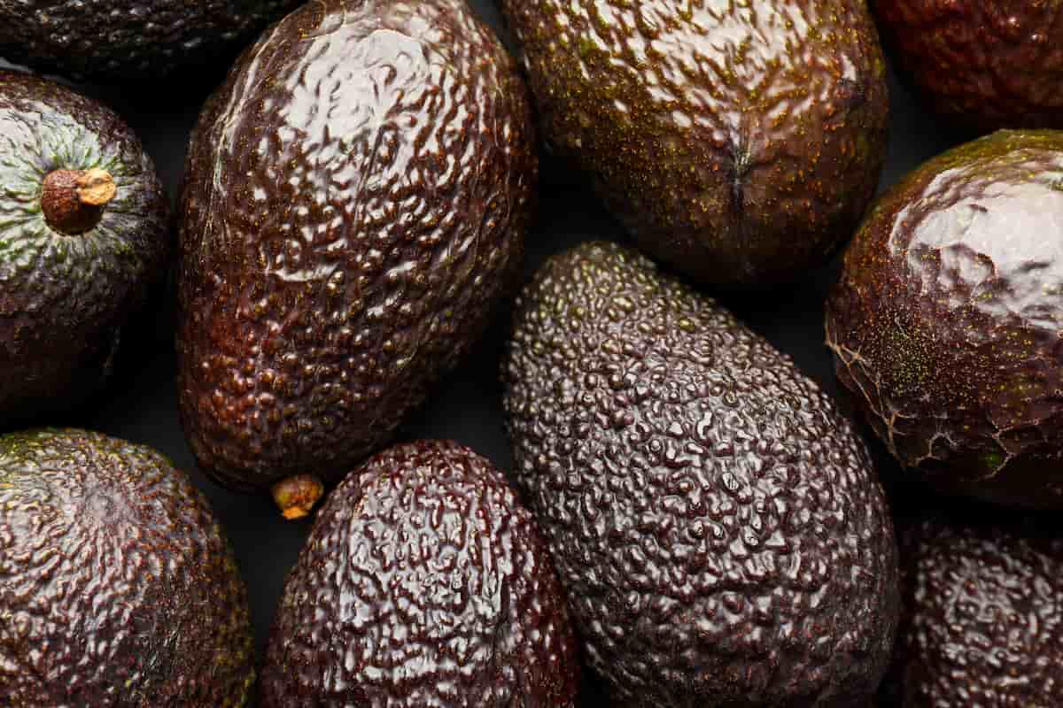 México es el mayor productor de aguacate