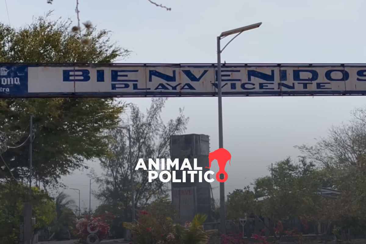 Localizan sin vida a ocho migrantes chinos en Playa Vicente en Oaxaca; hay un sobreviviente