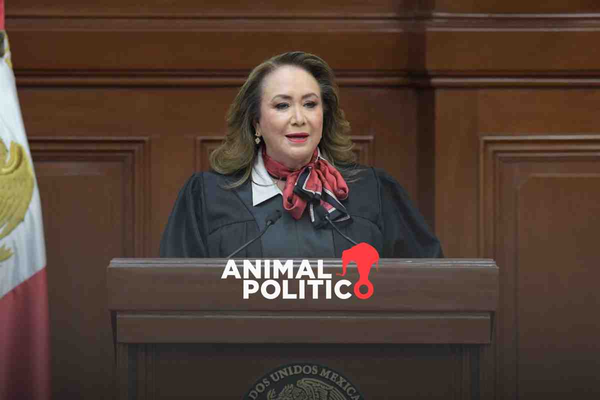 Cercanos a ministra Esquivel operaron fallo a su favor en el caso de presunto plagio de su tesis