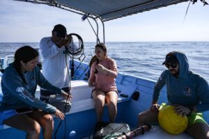 mongabay-11