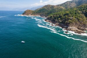 mongabay-12