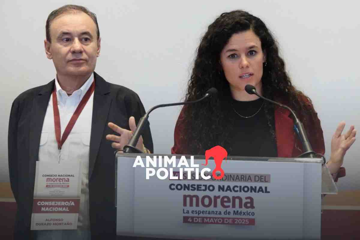 Morena organizará comités seccionales con 7 mil “mentores” para hacer asambleas en el país