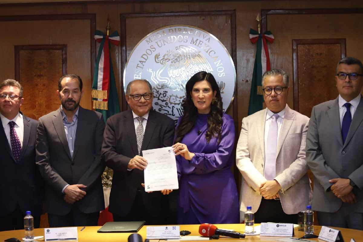 morena-pt-plan-b-reforma-electoral-sheinbaum-animal-politico-3