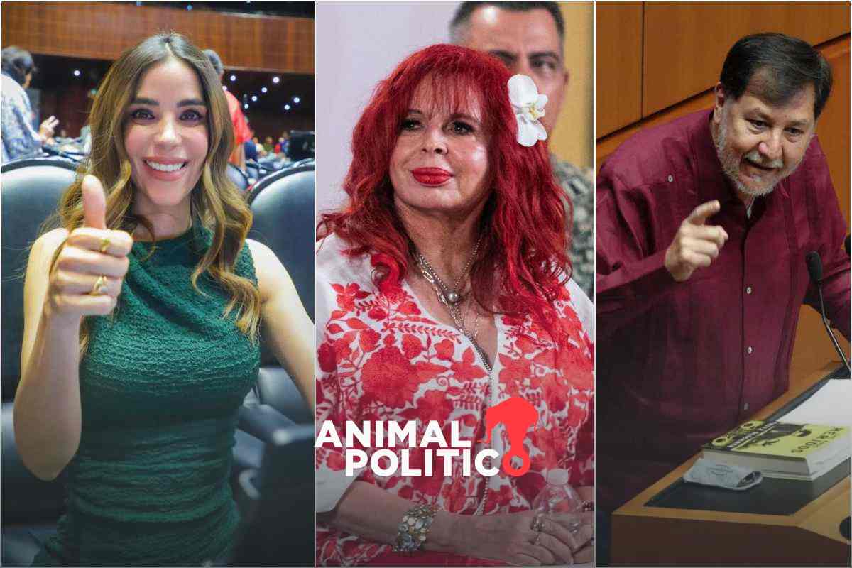 Dato protegido y disculpas públicas: morenistas recurren a la censura de periodistas y ciudadanos