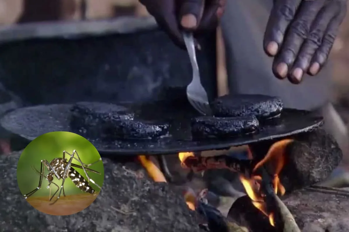 “Mosquito Burger” o Kunga, un alimento de supervivencia en África Oriental 